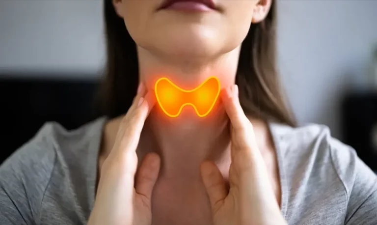 The Thyroid and Hormonal Balance What You Need to Know
