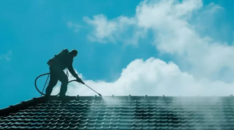 The Hidden Dangers of Skipping Roof Cleaning for Homes in Portland