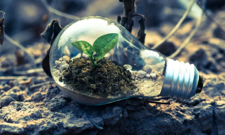 Boost Your Home Security with the Right Window and Door Replacements