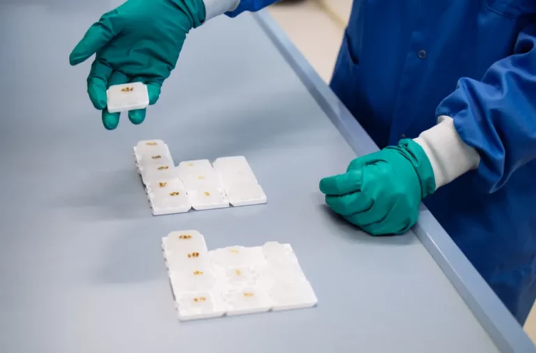 The Role of FFPE Blocks in Advancing Medical Diagnostics