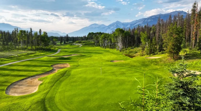 The Evolving Landscape of Golf Clubs in Canada