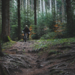 Into the Wild Your Guide to the Perfect Outdoor Retreat