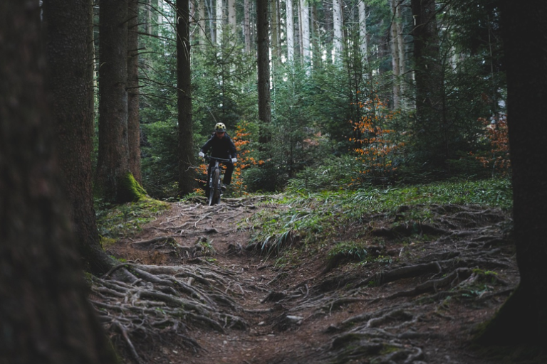 Into the Wild: Your Guide to the Perfect Outdoor Retreat Into the Wild Your Guide to the Perfect Outdoor Retreat