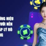 Troubleshooting Guide for W88