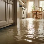 From Flood to Recovery Essential Steps for Successful Water Damage Restoration