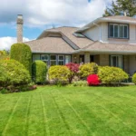 How Professional Landscaping Adds Long-Term Value to Your Home