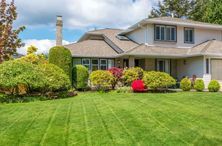 How Professional Landscaping Adds Long-Term Value to Your Home